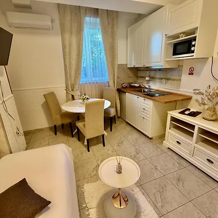 Guest house Guesthouse Villa Vice