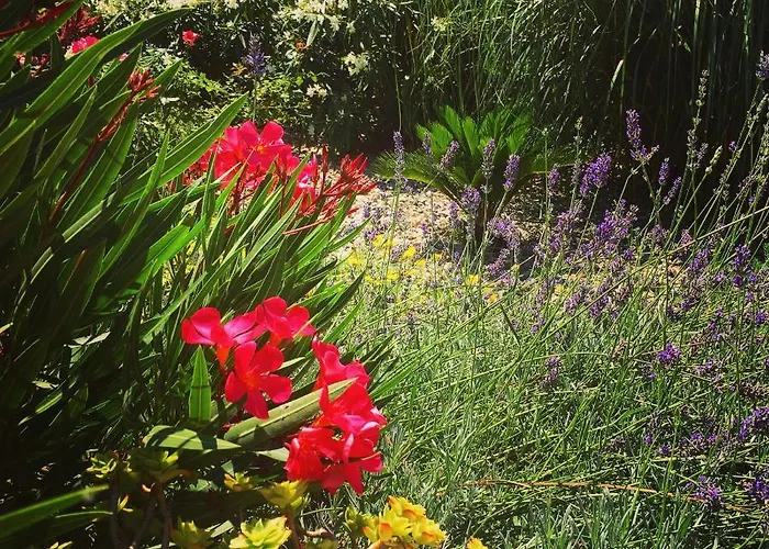 Guesthouse Villa Vice Guest house