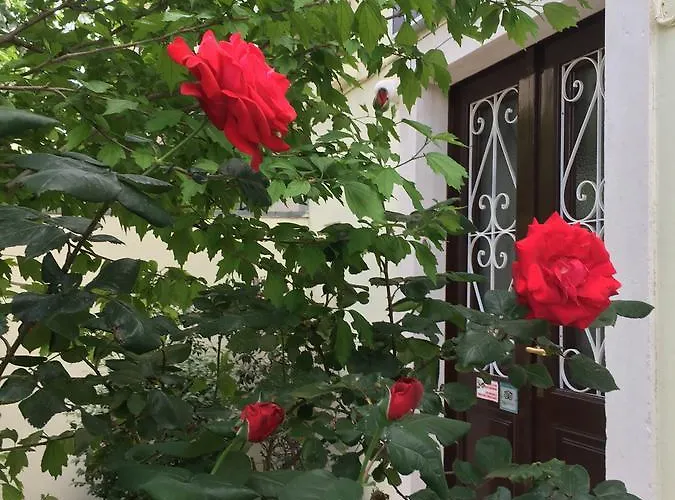 Guest house Guesthouse Villa Vice 3*