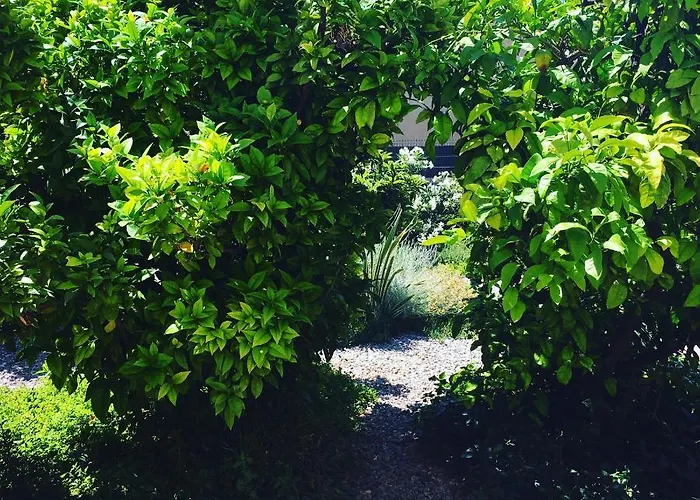 Casa de hóspedes Vice 3*