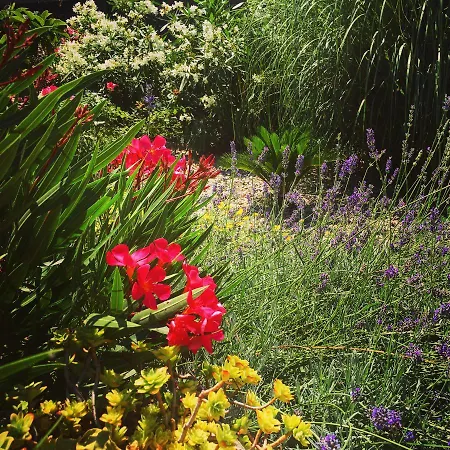 Vice Гостьовий будинок