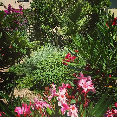 Гостьовий будинок Vice 3*