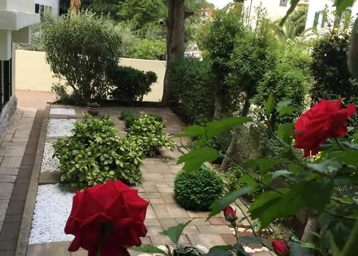 Guesthouse Villa Vice Guest house 3*