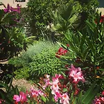 Guest house Guesthouse Villa Vice 3*